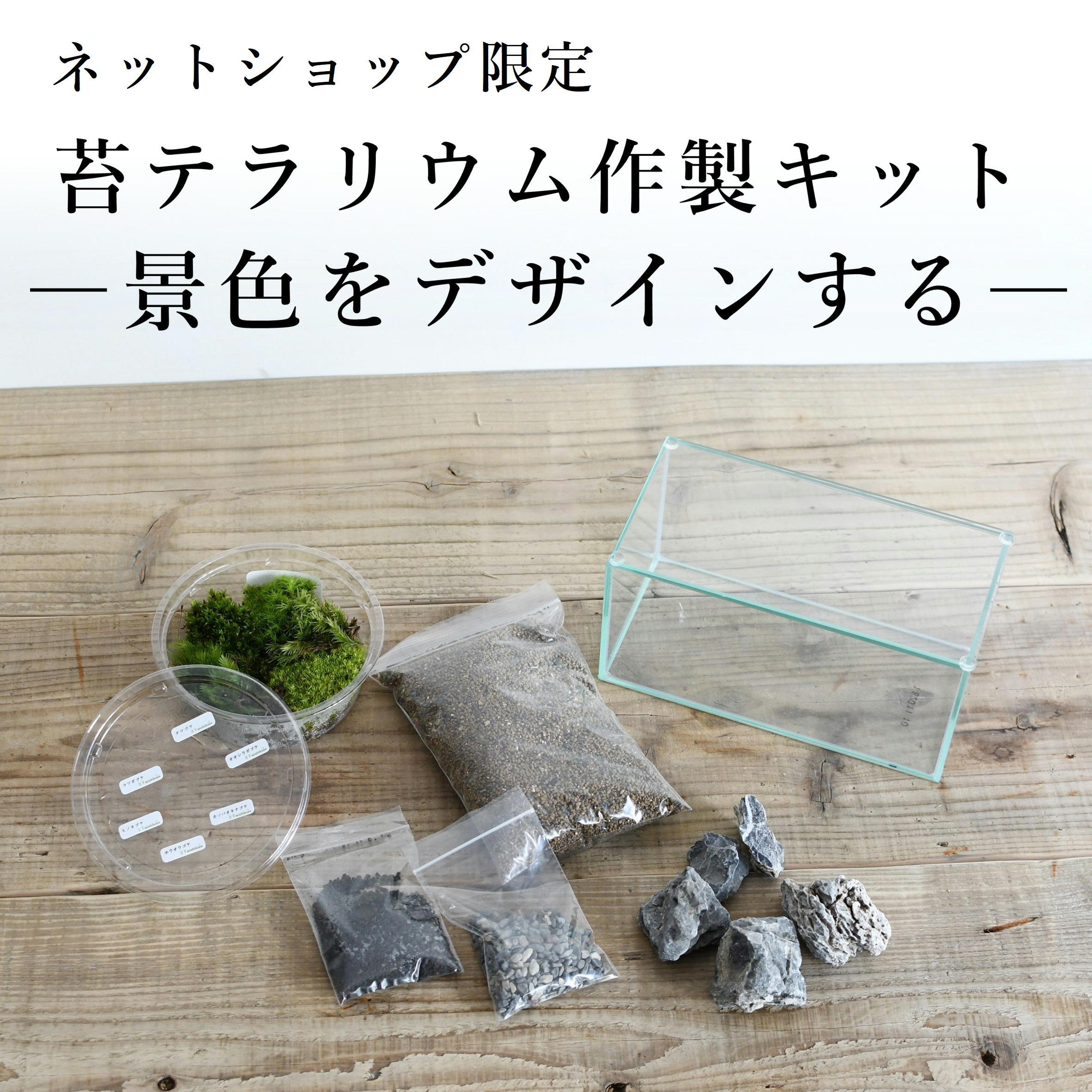 感謝価格 レイアウト水槽用の流木 デザイン流木 60センチ水槽に丁度良いサイズです。