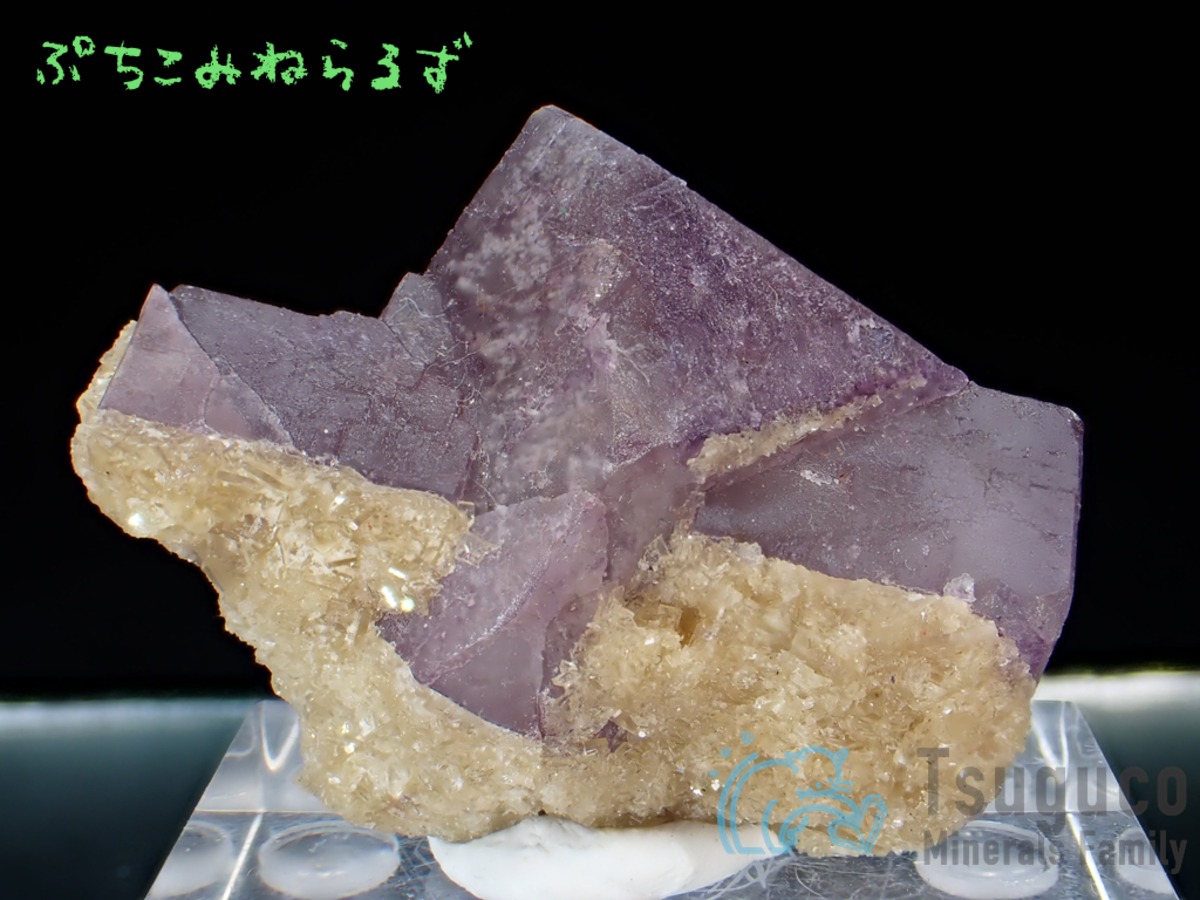 蛍石 フローライト 蛍石 アメリカ PM-727【レタパライト可