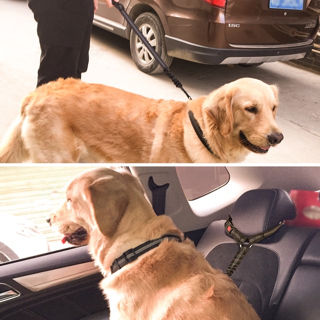 【犬用品】カーリード　犬用リード　犬用シートベルト　中型犬　大型犬