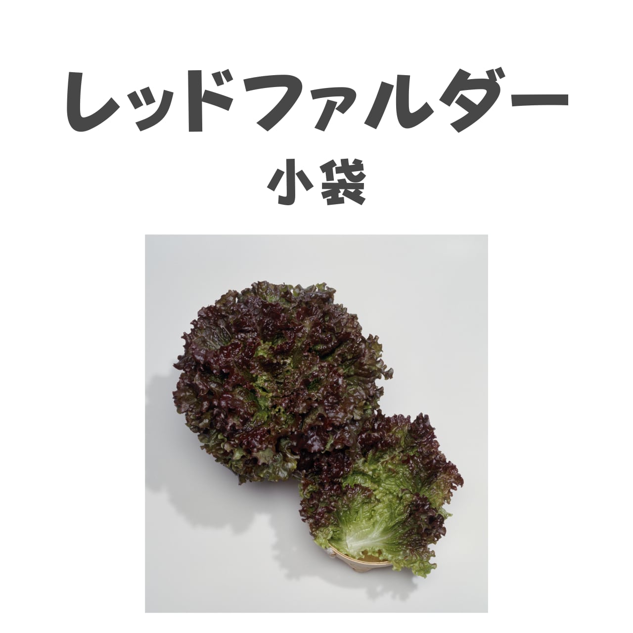 レッドファルダー レタス種子・ペレット小袋