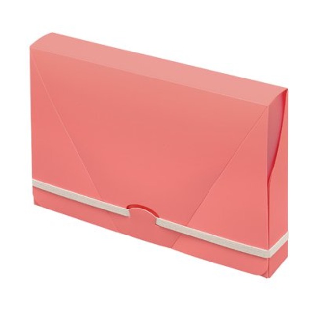 パイロット 持ち歩きワークファイル A5ワイド  PL-F06-86