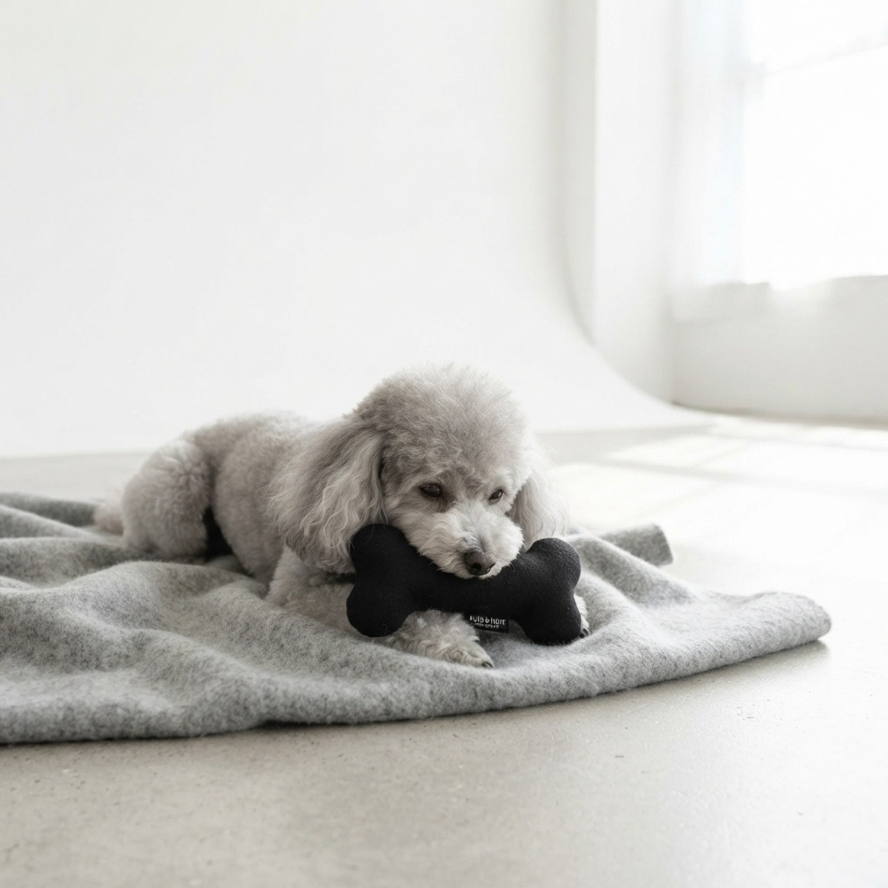 【選べる3個セット】Monotone & Nuance Pet Toy モノトーン＆ニュアンス ペットトイ