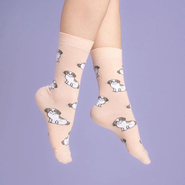 «即納» Coucou Suzette Shih tzu Socks ククシュゼット