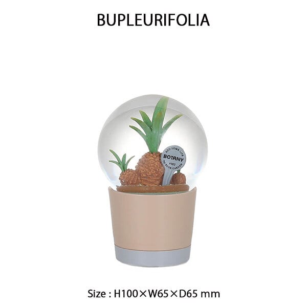 PLANTS WATER GLOBE Sサイズ 3種類 プランツ ウォーター グローブ