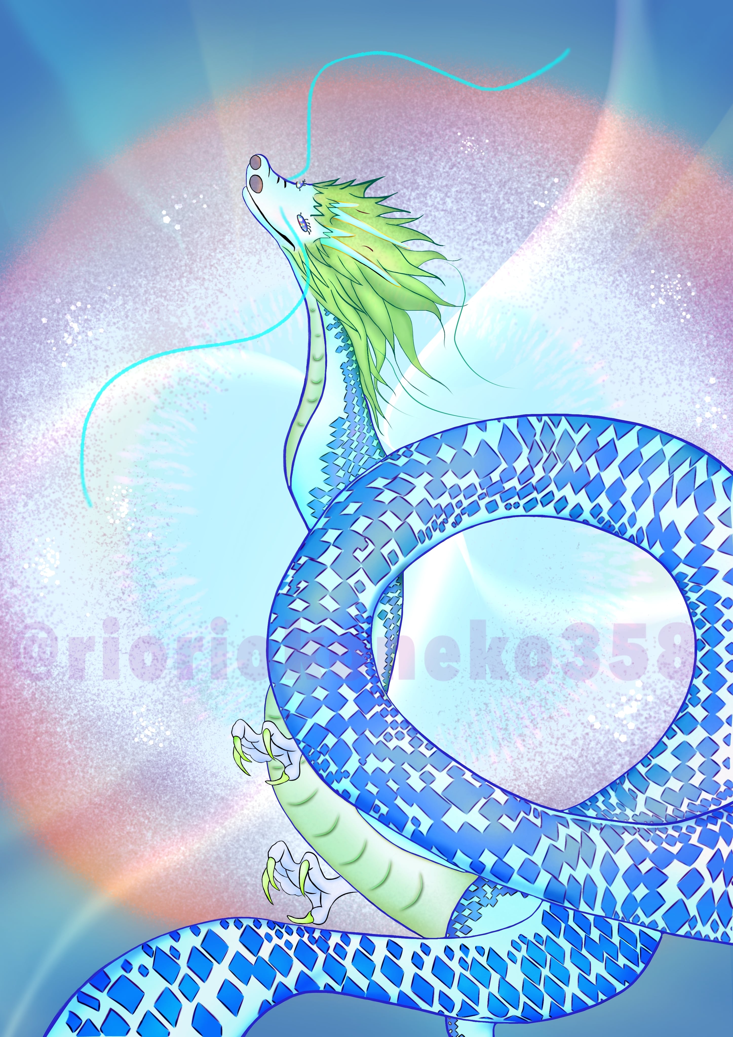 青龍 A5サイズ | Divina AmoR