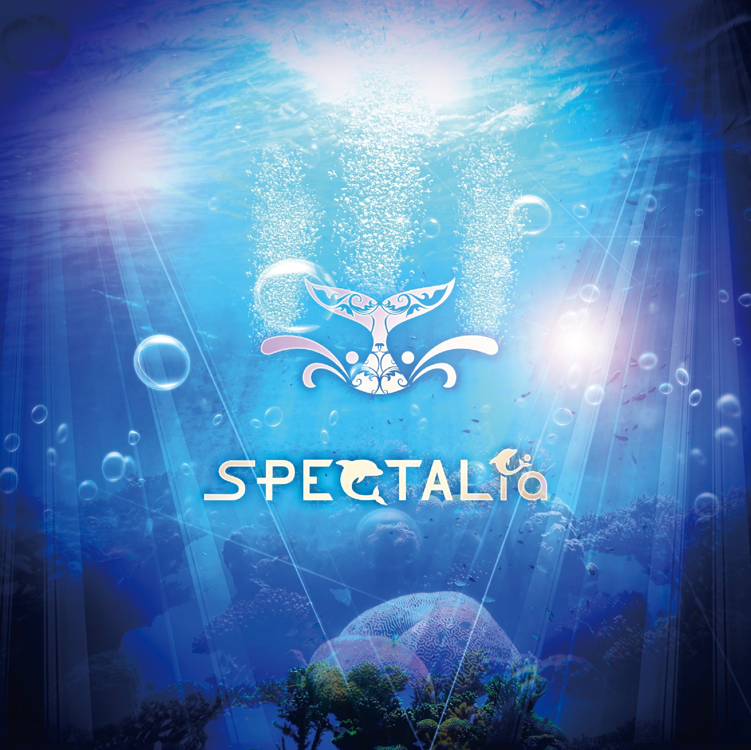 オットセイ SEALs 3D PVC パッチ | TEMPTALia / SPECTALia / uchiko