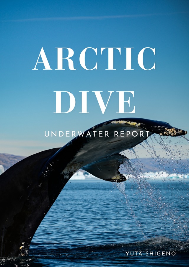 夏の北極圏の水中撮影レポート