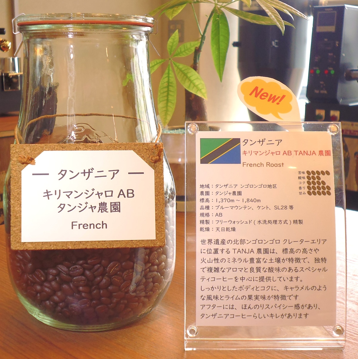 タンザニア キリマンジャロ AB タンジャ農園 フレンチ