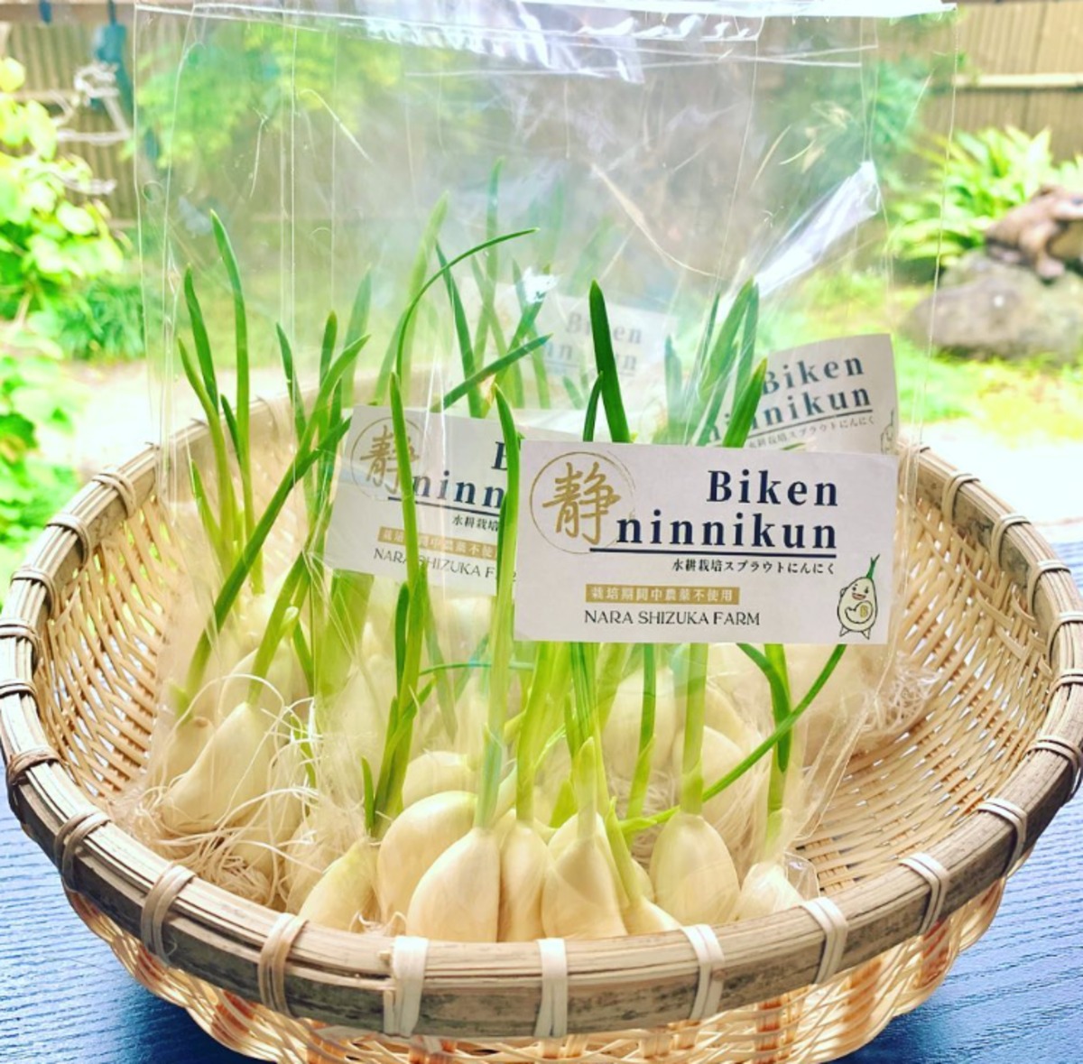 5804de72c71e99b40f73da8c0227ab