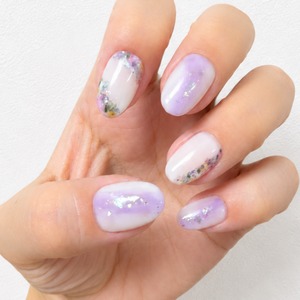 ネイルチップ：IMP260048　NailTipCollection