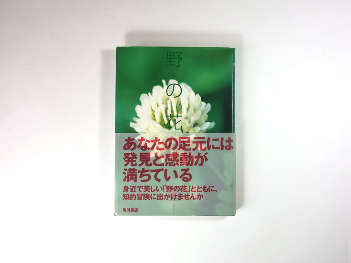 野の花（浅川トオル 写真・構成、森沢 明夫 文） | bookstore ナルダ