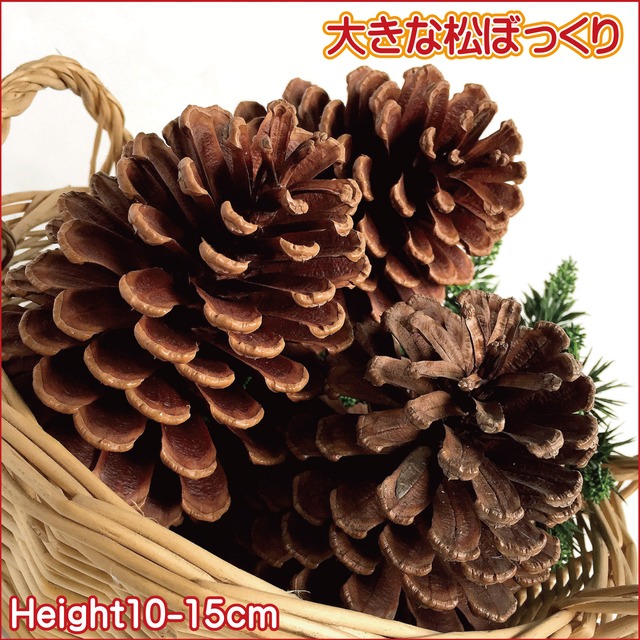 天然 大きな松ぼっくり 3個セット インテリア クラフト材料 高さ約10 15cm クリスマスツリー リース リサイクル アンティーク 風雅 Fuga 天然 大きな松ぼっくり 3個セット インテリア クラフト材料 高さ約10 15cm クリスマスツリー リース リサイクル アンティーク 風雅 Fuga