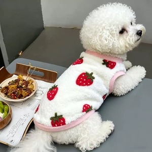 【取り寄せ】いちご柄wear