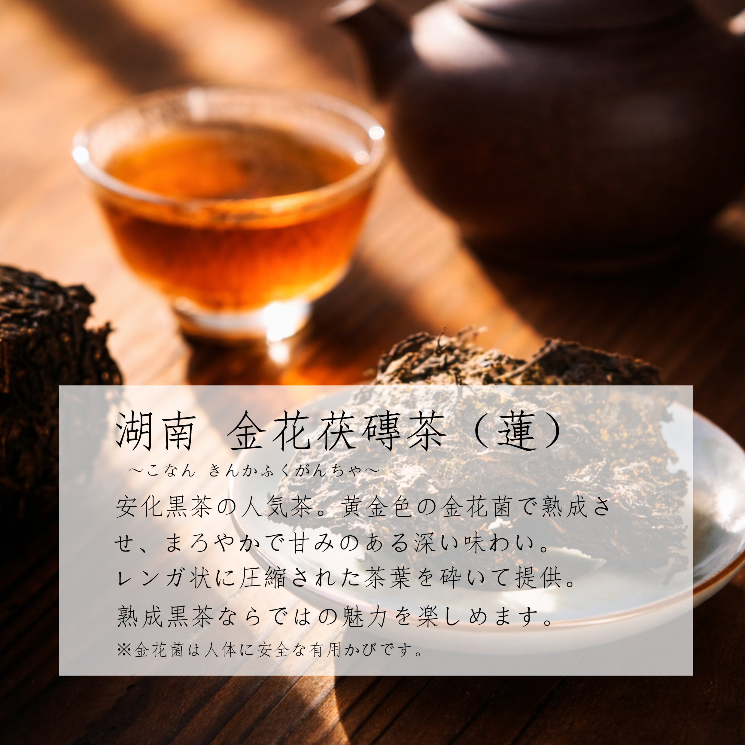 中国茶★湖南省特級安化黒茶★純古金茯 湖南 金花茯磚茶（蓮）2016年製 | chinacafetea