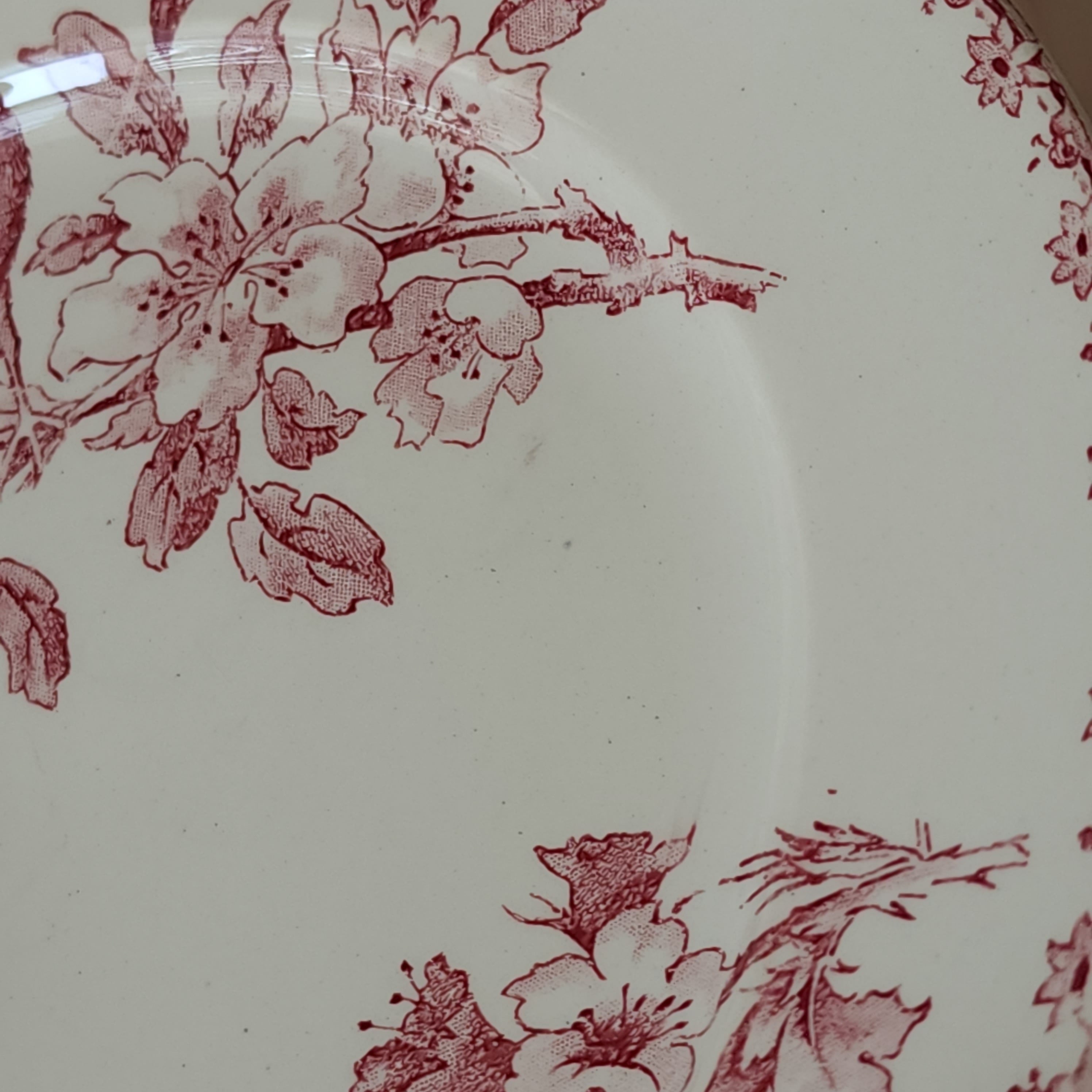 Sarreguemines サルグミンヌ デザートプレート / FAVORI #2 | デザート