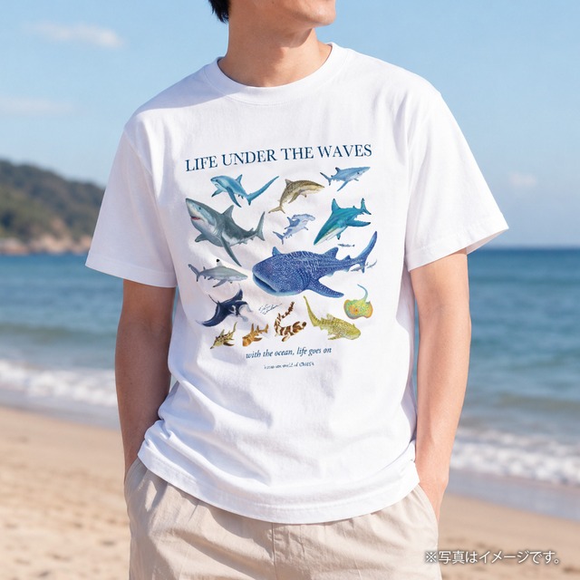海の生きもの半袖Tシャツ（サメ・エイ）｜LIFE UNDER THE WAVES Model-05