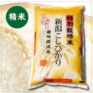 有機低農薬コシヒカリ　精米2kg（令和5年産）　