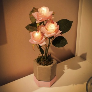 cutie rose pot mood light / ローズ フラワー ライト