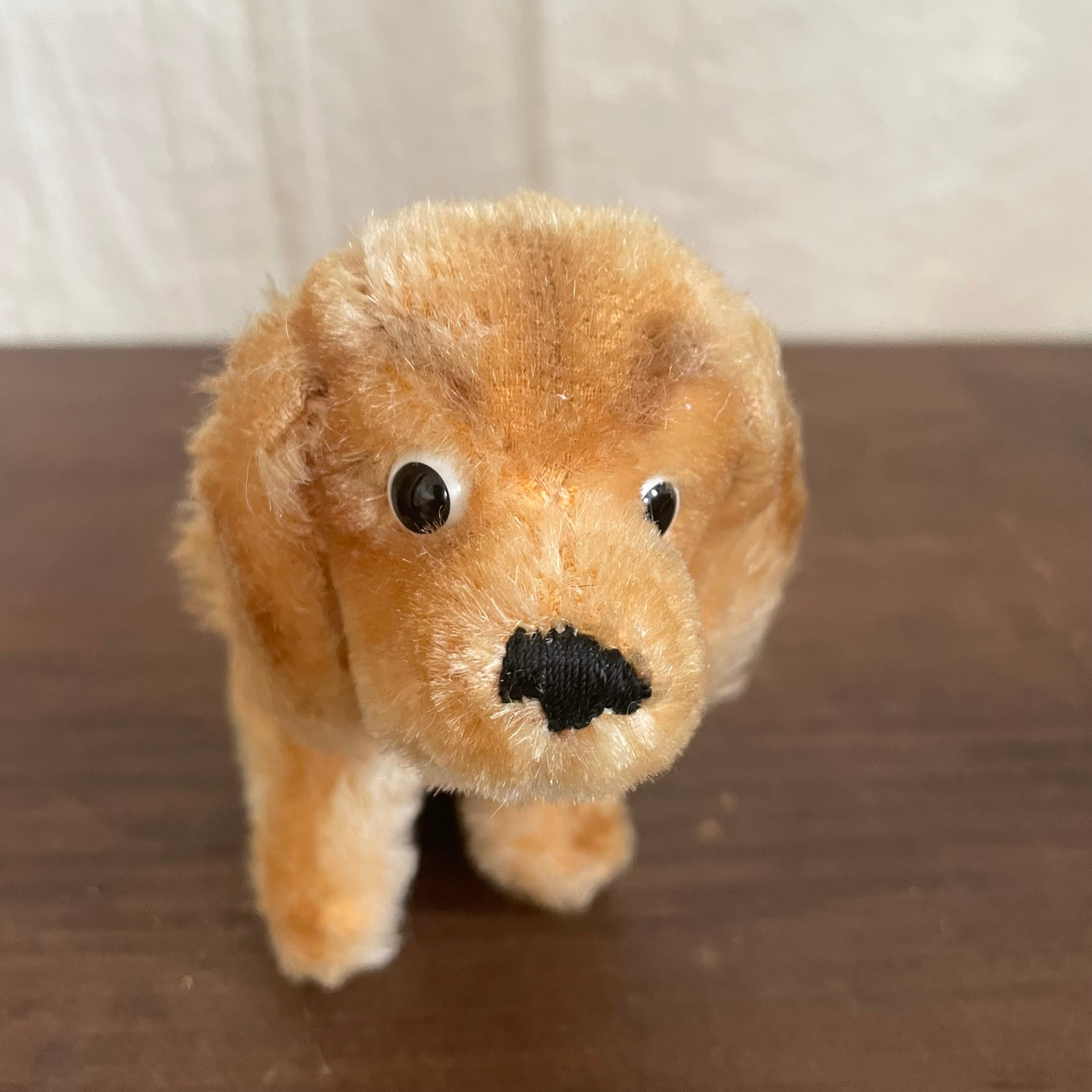 Steiff シュタイフ こいぬのトミー 犬 イヌ いぬ ぬいぐるみ Steiff シュタイフ こいぬのトミー 犬 イヌ いぬ ぬいぐるみ