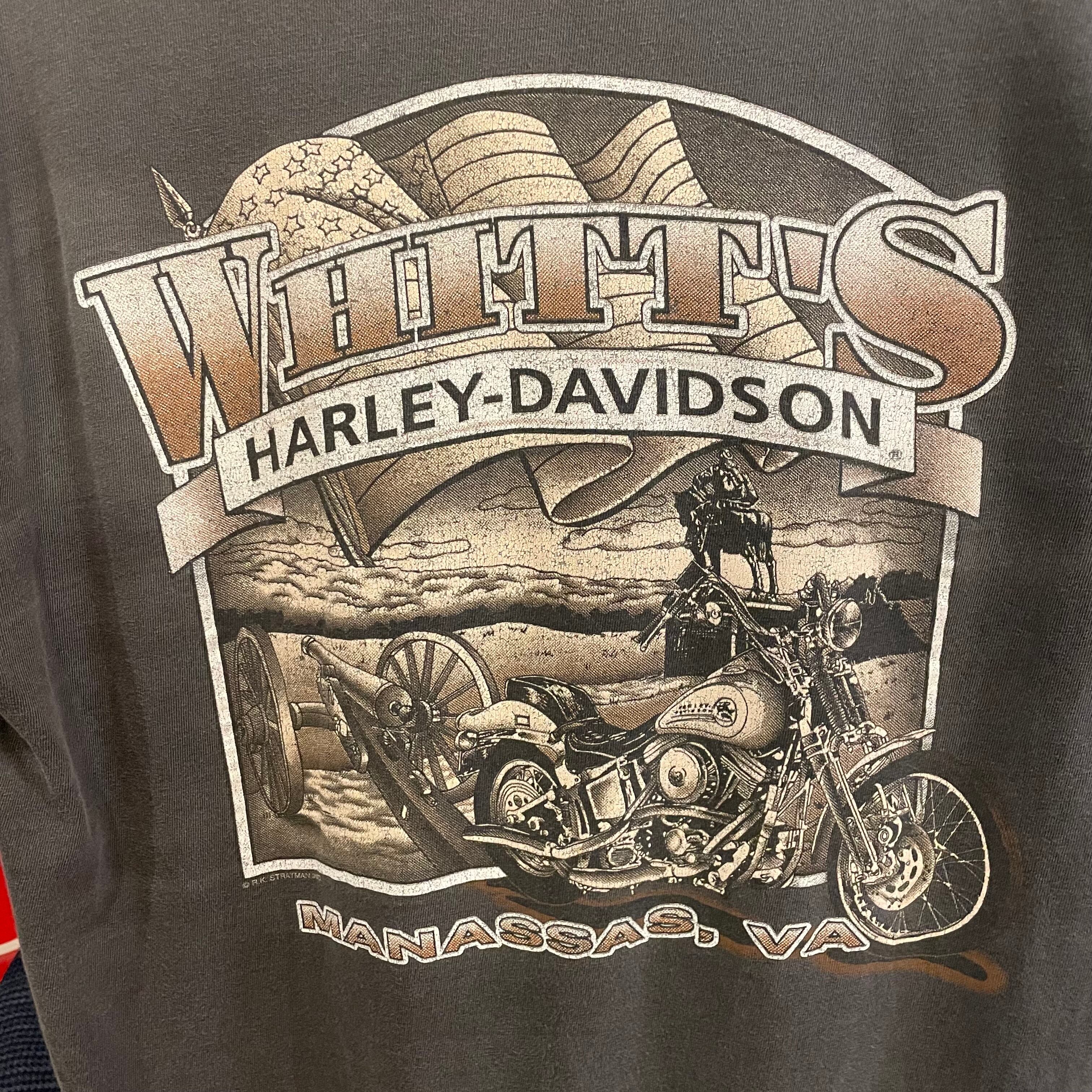 NC048 人気 90s 90年代 Hurley DAVIDSON ティシャツ