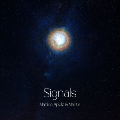 Used LP】ザ・ローリング・ストーンズ - 第5集 アフターマス(余波