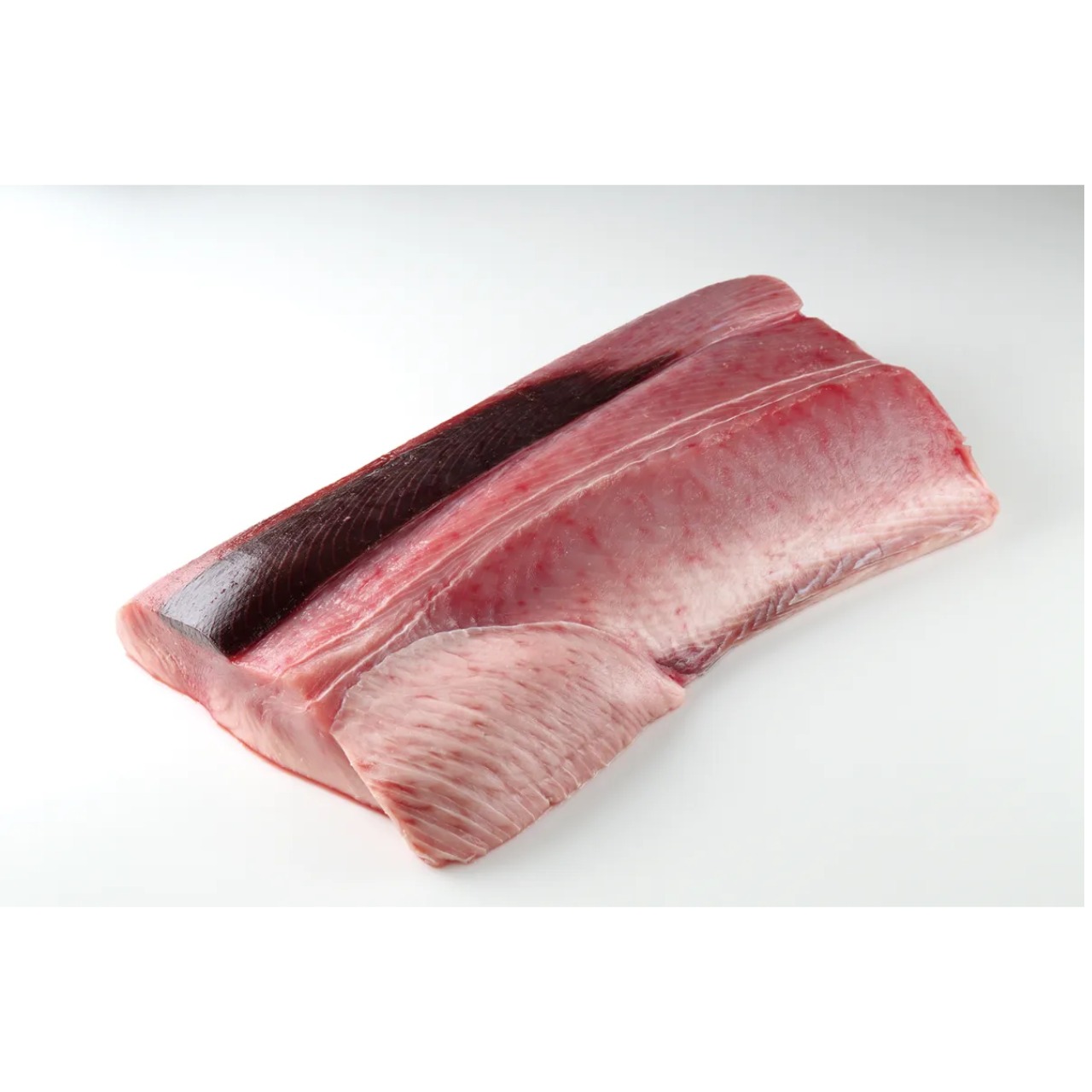 宮城産 モウカサメロイン 10kg