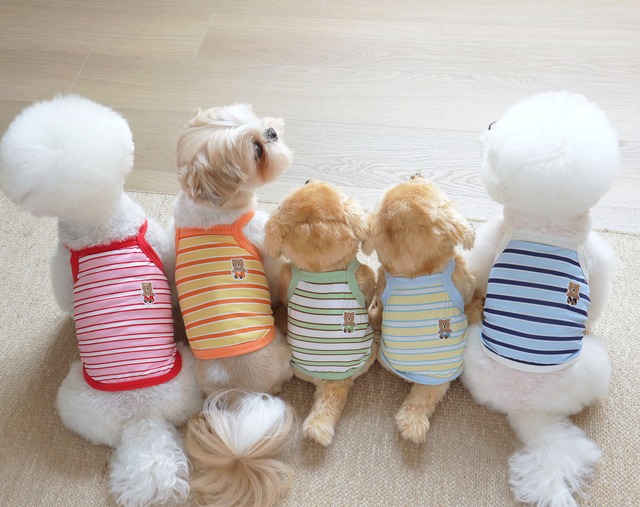 DOGWEAR&FASHION　×　LemonSoda