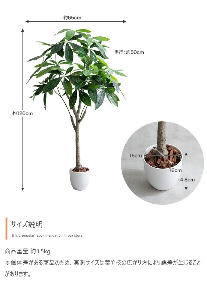 観葉植物 パキラ フェイクグリーン 光触媒人工観葉植物 高さ120cm | FIGARO