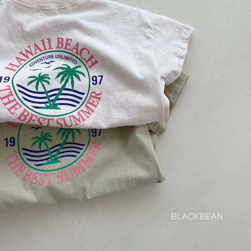 【予約　2024 summer】Hawaii T〔ハワイ半袖T〕　black bean