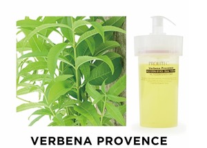 バーベナプロバンス