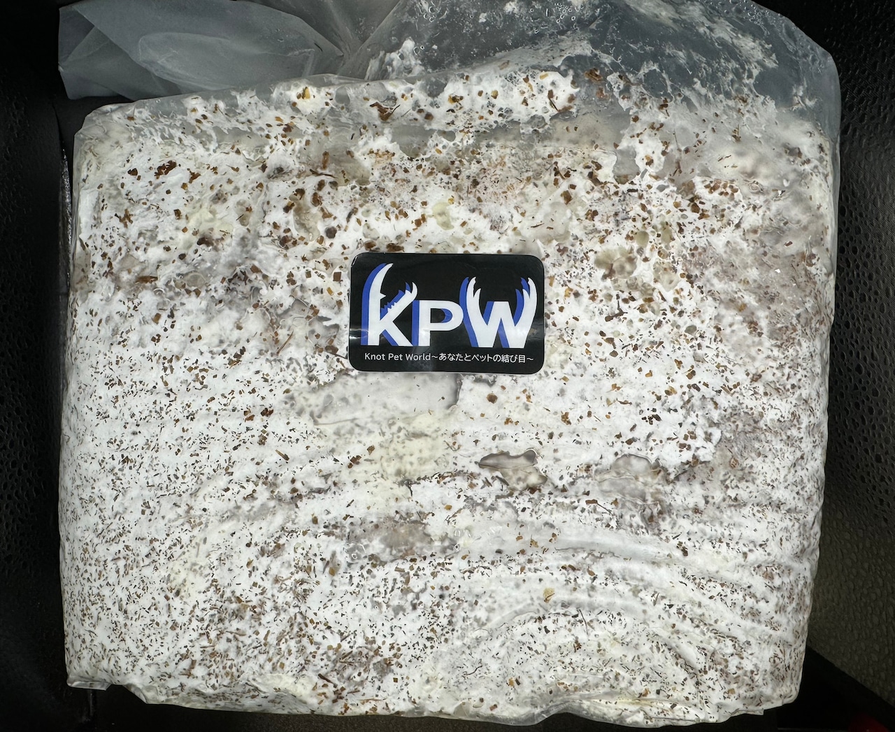 【バレンタインSALE先行特価】【KPWオリジナル】オオヒラタケ菌糸ブロック 4000cc