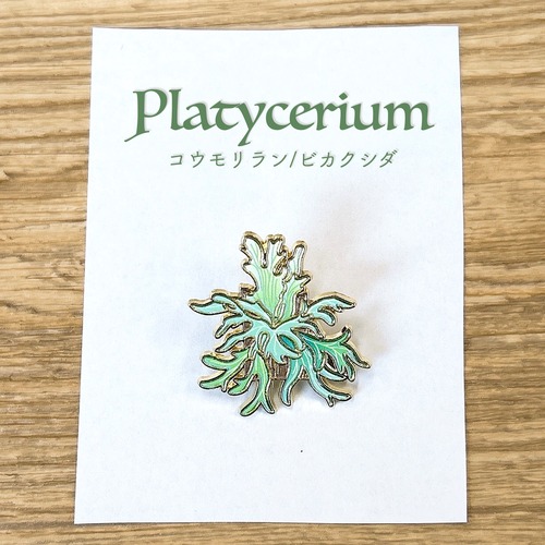 【 観葉植物 ピンバッジ 】コウモリラン ビカクシダ ゴールド ボタニカル 植物 緑 室内 インテリアグリーン ピンブローチ 胸飾り 装飾ピン アンティーク アクセサリー ジュエリー ファッション 小物 ワンポイント レディース メンズ コサージュ プレゼント おしゃれ アクセント かわいい