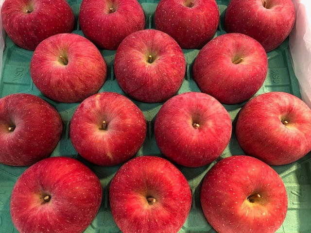 【リンゴ】青森県産りんご サンふじ 秀品 美味しいリンゴ 果物詰め合わせギフト 贈答用
