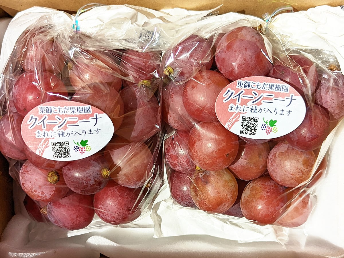 完熟つぶつぶクイーンニーナ500g入り×2袋(合計1000g)※信州の環境にやさしい農産物(長野県認証)