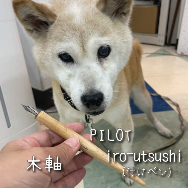 iro-utsushi＜いろうつし＞　付けペン　木軸