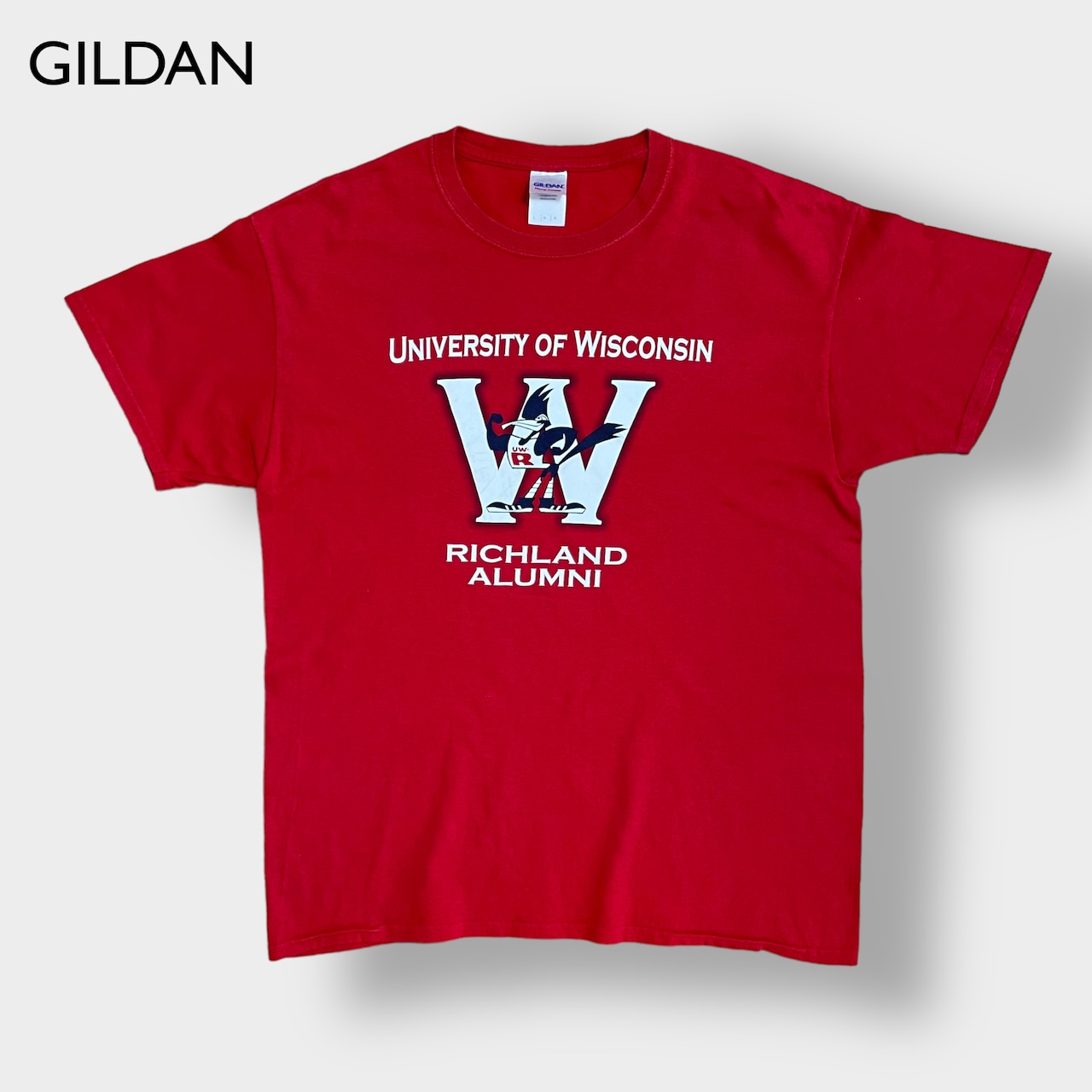 【GILDAN】カレッジ ウィスコンシン大学 Tシャツ カレッジロゴ プリント UNIVERSITY OF WISCONSIN 赤 LARGE 半袖 夏物 US古着