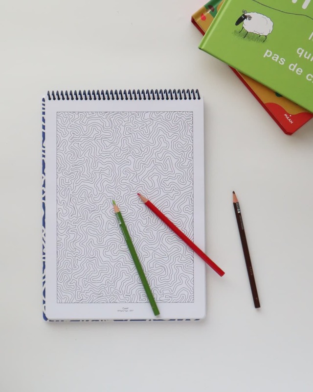 PAPIER TIGRE 大人の塗り絵 カラーリング ノートブック パピエティグル