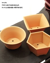 mame bon pot シホウ 8.4cm 【日本初上陸?!】