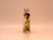 【 特色シリーズ 】選べる5枚セット |  A2