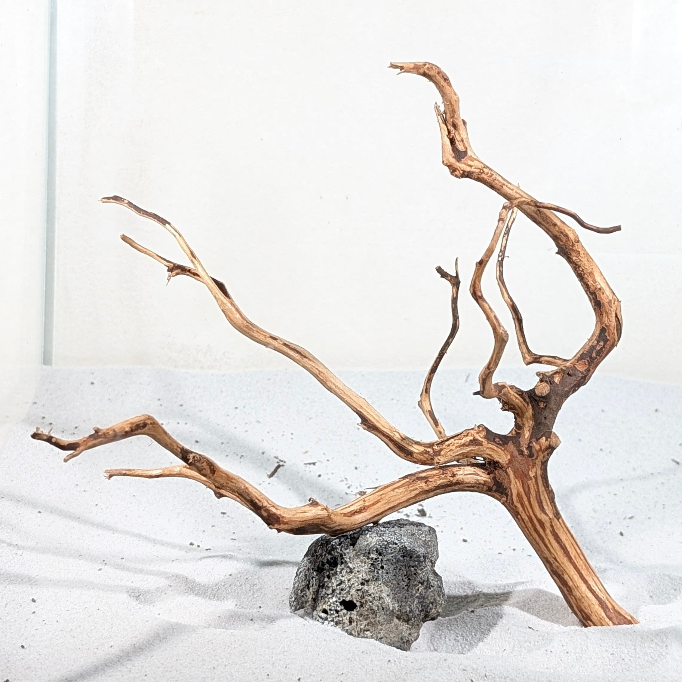 MDW-5947 特大ブランチウッド　90cm以上水槽用　枝流木　アクアリウム MDW-5947 特大ブランチウッド 90cm以上水槽用 枝流木 アクアリウム