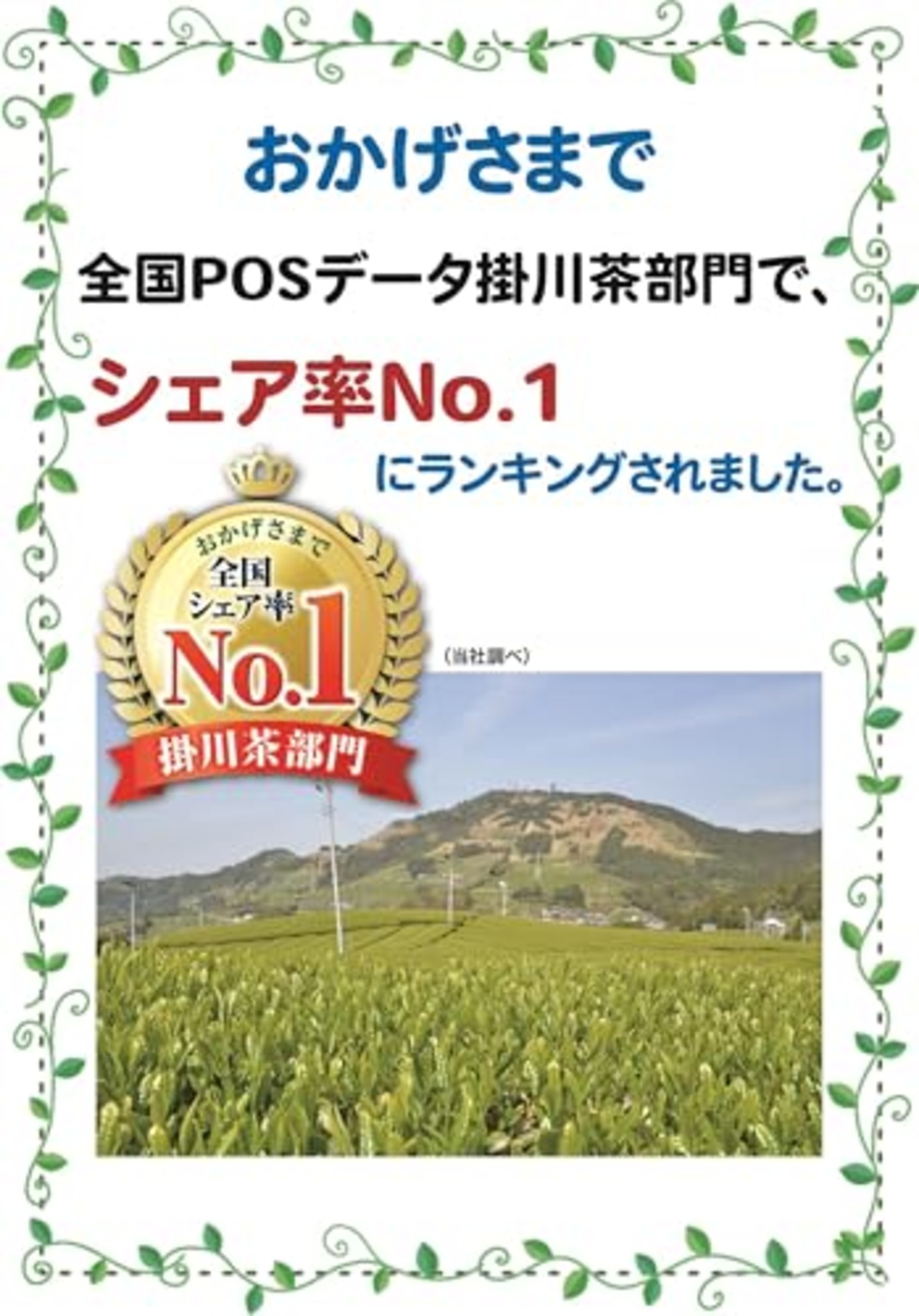 国太楼 深蒸し掛川茶 100g