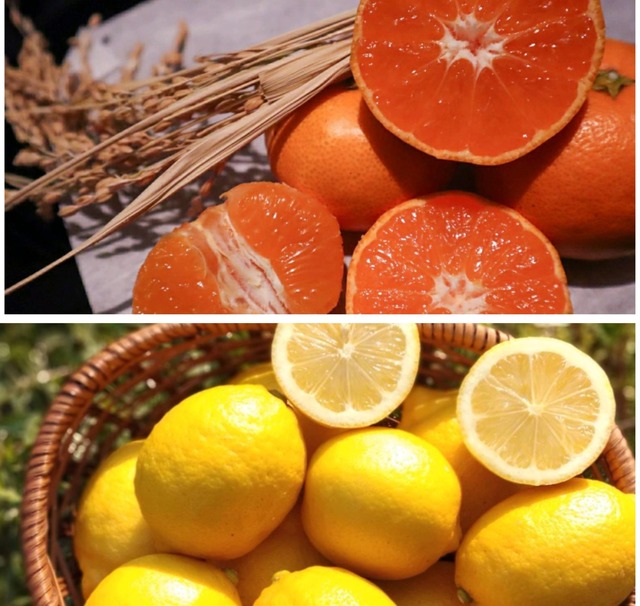 【A級品セット】高根島みかん4kg+瀬戸田産レモン1kg