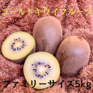 ゴールドキウイフルーツ【5キロ】