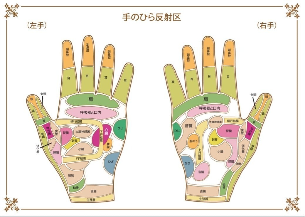 新型　カリスマ エステ YTB エントロピー♾️ 反射区図付き 反射区表 ハンド リフレクソロジー | アロマオイル grasp