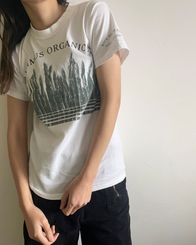 90's GILDAN Asparagus T-shirt
