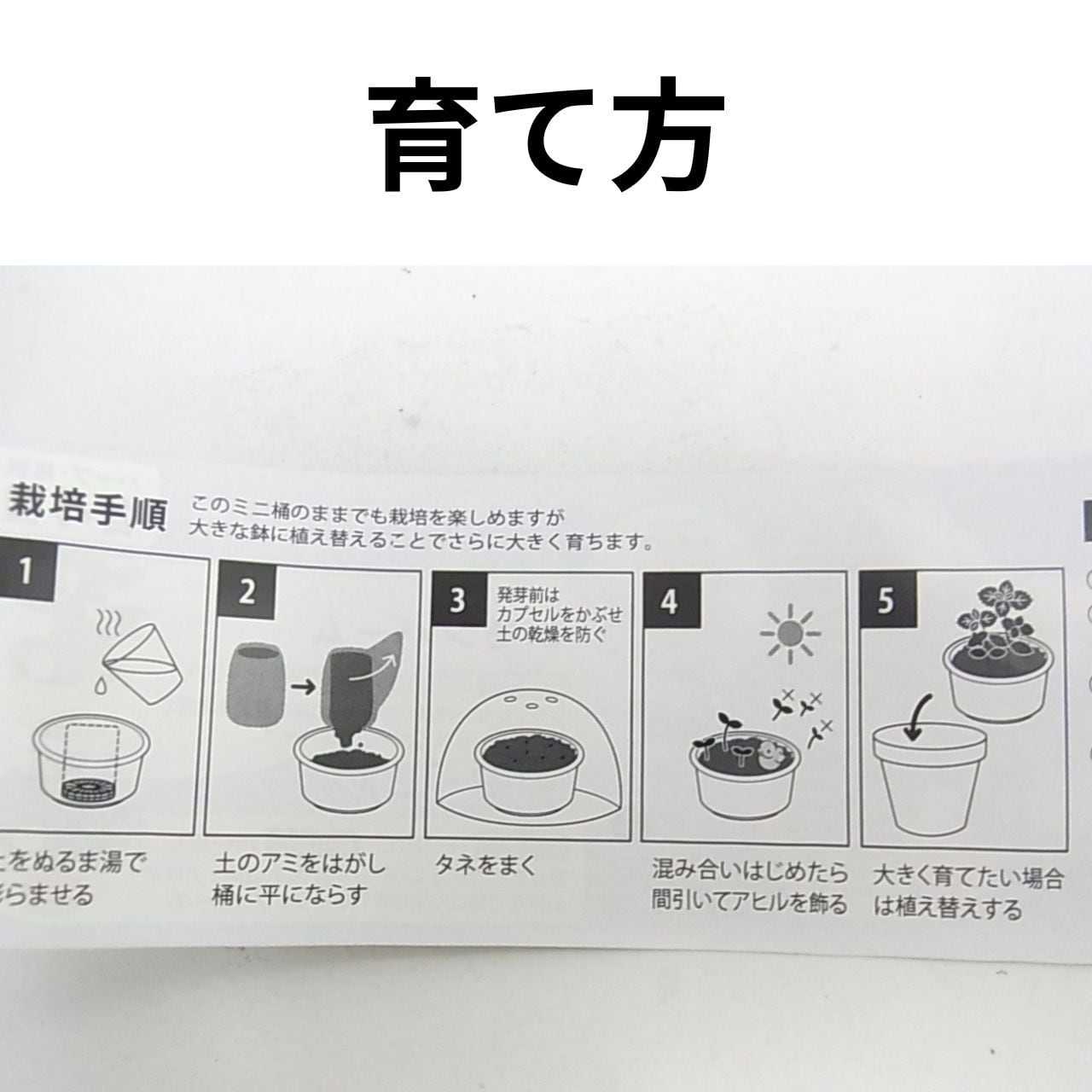 ハーブ 栽培キット 聖新陶芸 育てるカプセル ゆ桶でハーブ 【全4種
