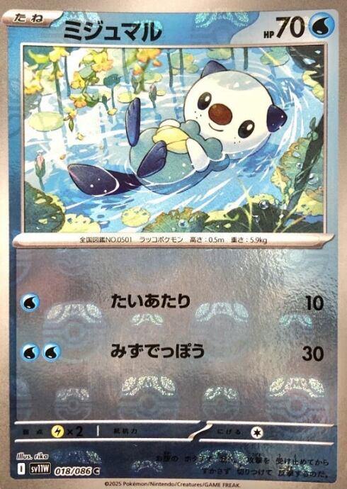 【Bランク】ミジュマル(マスターボール(ミラー)