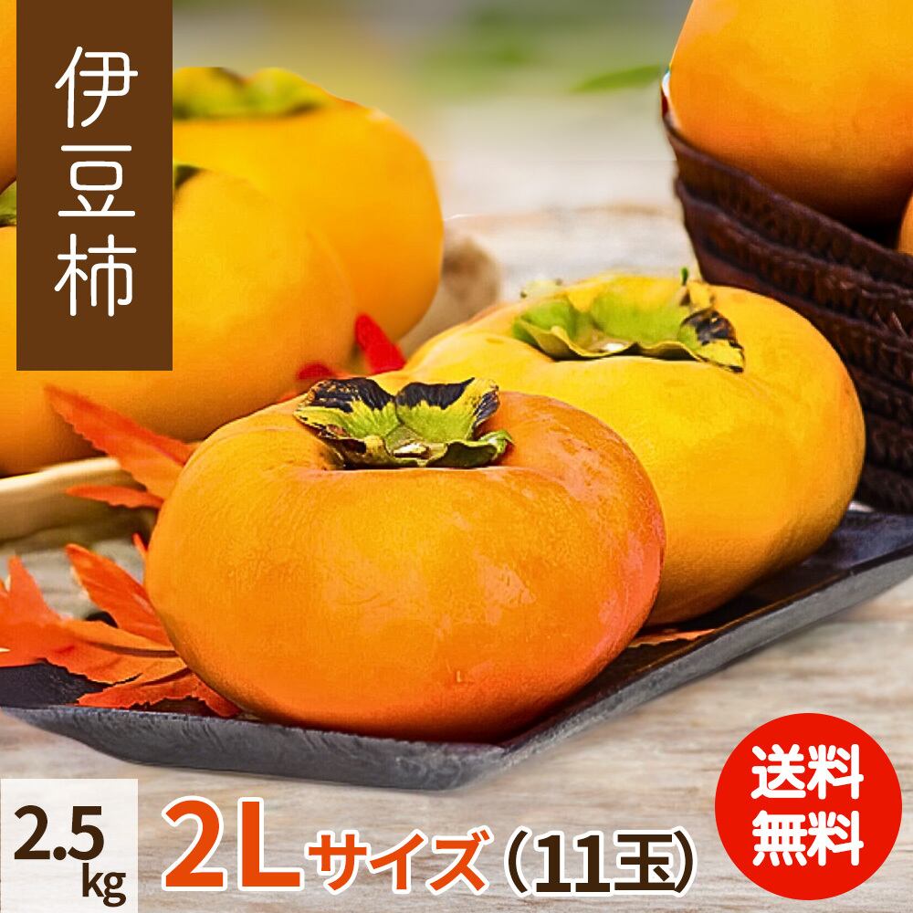 2025年産】【10月下旬発送】伊豆柿 2 L 11玉（2.5kg） | 柿の通販