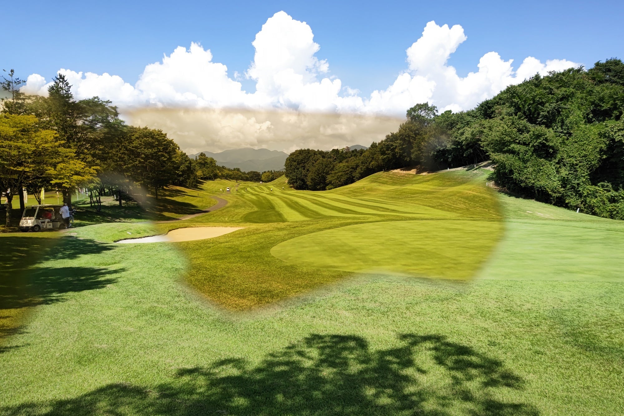 JAPAN LIMITED CROSSBLADE NARO CERAKOTE オリーブドラブ