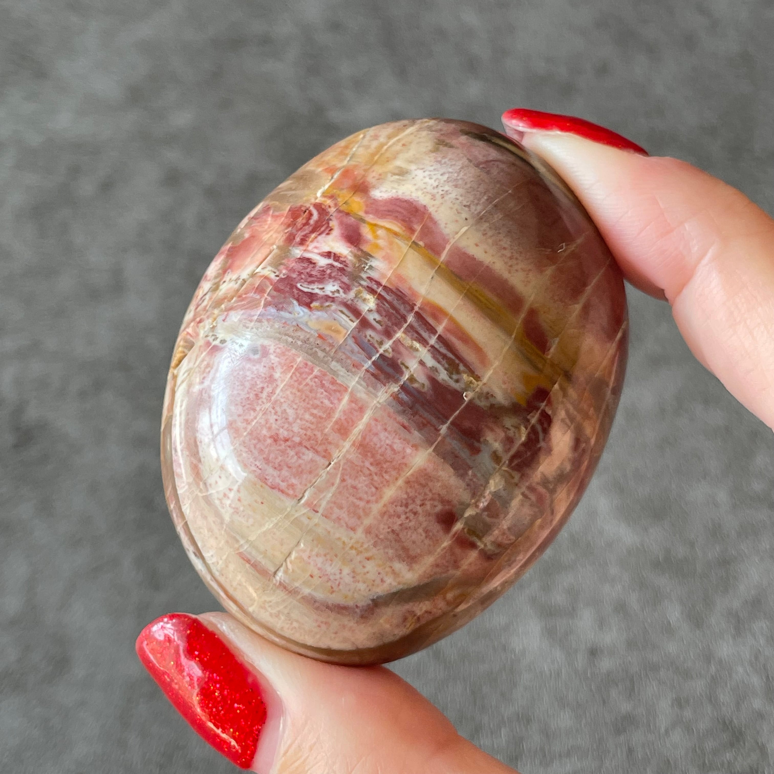 Petrified Wood ペトリファイドウッド|palm パーム③|天然石 パワーストーン 鉱物 gem stone